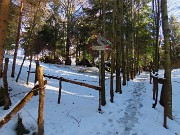 27 Seguo il sent. 505 a dx